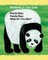 Panda Bear, Panda Bear, What Do You See?