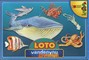 Vandenynų gyventojai. Loto