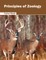 Principles of Zoology