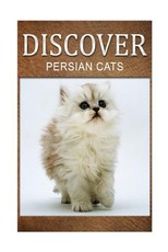 Persian Cats - Discover