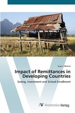Impact of Remittances in Developing Countries