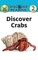 Discover Crabs