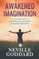 Awakened Imagination