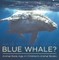 Have You Ever Seen A Blue Whale? Animal Book Age 4 | Children's Animal Books