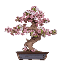 Medinis konstruktorius ROBOTIME „Sakura Bonsai 3D“, 263 dalių