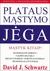 Plataus mąstymo jėga. Mąstyk kitaip!