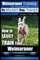 Weimaraner Training - Dog Training with the No BRAINER Dog TRAINER "We Make it THAT Easy"