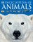 Encyclopedia of Animals