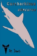 Carcharhinus obscurus