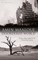Disordered World