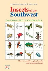 Insects of the Southwest