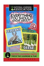 Everything You Should Know About