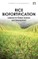 Rice Biofortification
