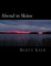 Abend in Skane