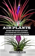 Air Plant