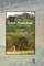 The Silence of Great Zimbabwe