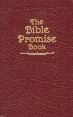 Bible Promise Book KJV