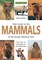 Field Guide to Mammals of the Kruger National Park