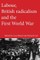 Labour, British radicalism and the First World War