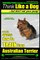 Australian Terrier, Australian Terrier Training, AAA Akc Think Like a Dog But Don't Eat Your Poop! Australian Terrier Breed Expert Training