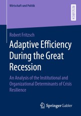 Adaptive Efficiency During the Great Recession