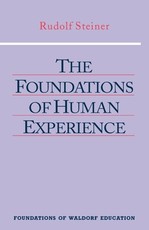 The Foundations of Human Experience