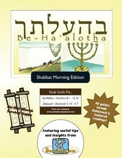 Bar/Bat Mitzvah Survival Guides