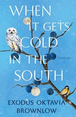 When It Gets Cold in the South
