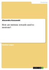 How are intrinsic rewards used to motivate?