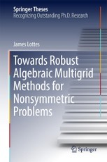 Towards Robust Algebraic Multigrid Methods for Nonsymmetric Problems