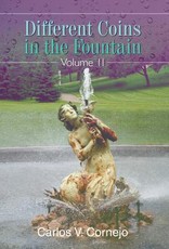 Different Coins in the Fountain