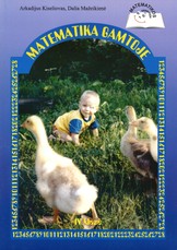 Matematika gamtoje, 4 klasei