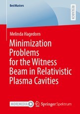 Minimization Problems for the Witness Beam in Relativistic Plasma Cavities