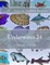 Underwater 24