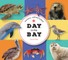 Animal Adventures: Day at the Beach
