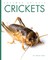 Crickets