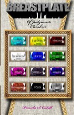 Breastplate of Judgment
