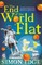 The End of the World Is Flat