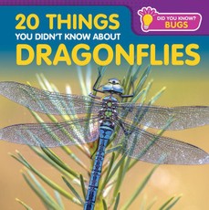 20 Things You Didn't Know about Dragonflies