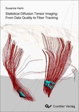 Statistical Diffusion Tensor Imaging: From Data Quality to Fiber Tracking