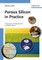 Porous Silicon in Practice