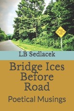 Bridge Ices Before Road