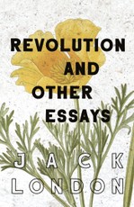 Revolution and Other Essays