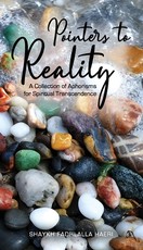 Pointers to Reality