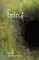 The Brink