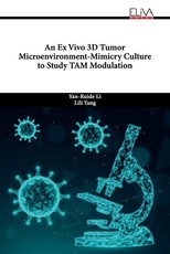 An Ex Vivo 3D Tumor Microenvironment-Mimicry Culture to Study TAM Modulation