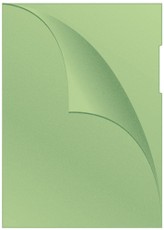 Aplankas-vokelis "L"120mic A4 100vnt žalsvas