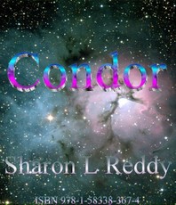 Condor
