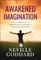 Awakened Imagination