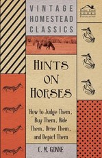 Hints on Horses